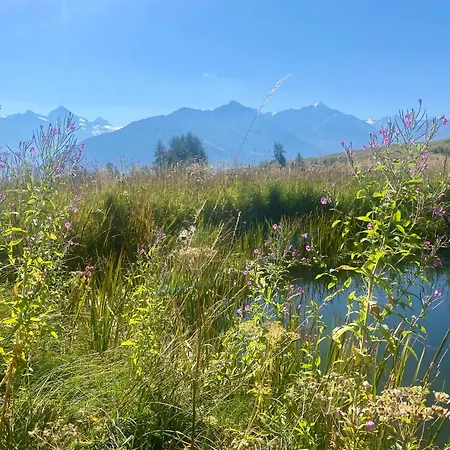 La Pourvoirie - 4 Vallees - Thyon-les Collons, 10 Pers, A 200 M, 4 Parkings, Vue Fantastique !