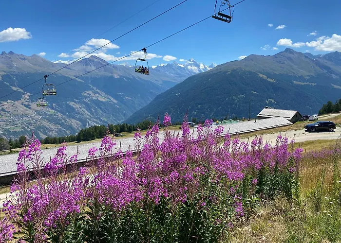 Alpstuga La Pourvoirie - 4 Vallees - Thyon-les Collons, 10 Pers, A 200 M, 4 Parkings, Vue Fantastique ! Hérémence