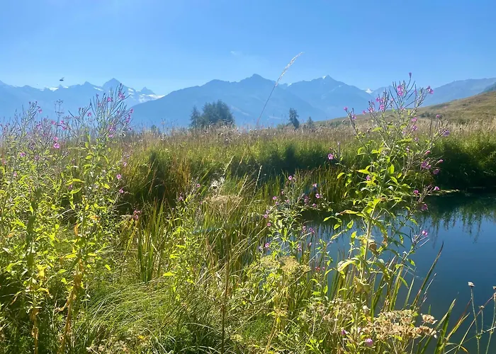 La Pourvoirie - 4 Vallees - Thyon-les Collons, 10 Pers, A 200 M, 4 Parkings, Vue Fantastique !