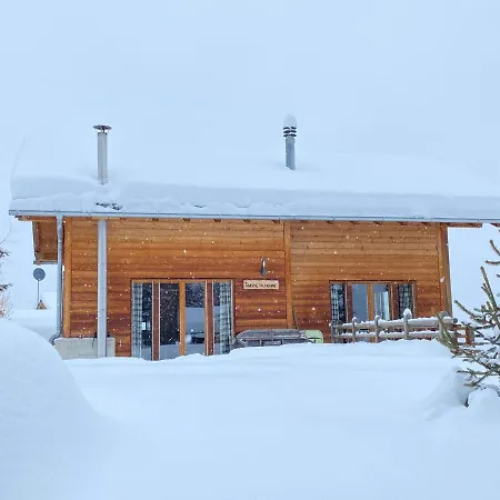 Chalet La Pourvoirie - 4 Vallees - Thyon-les Collons, 10 Pers, A 200 M, 4 Parkings, Vue Fantastique ! Hérémence