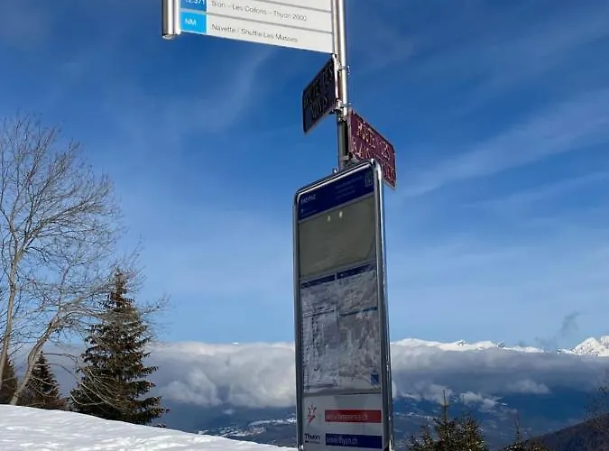 La Pourvoirie - 4 Vallées - Thyon-les Collons, 10 Personnes, Pistes De à 200m, Vue Magnifique ! *