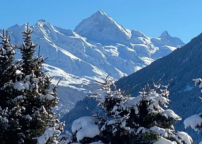 La Pourvoirie - 4 Vallées - Thyon-les Collons, 10 Personnes, Pistes De à 200m, Vue Magnifique ! Chalé *